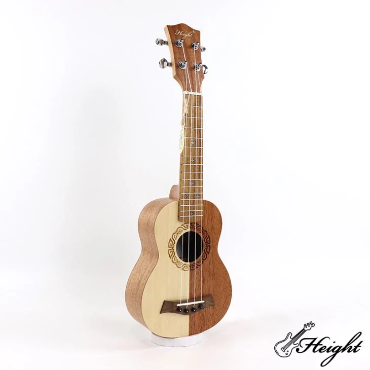 Ukulele atvinnumaður